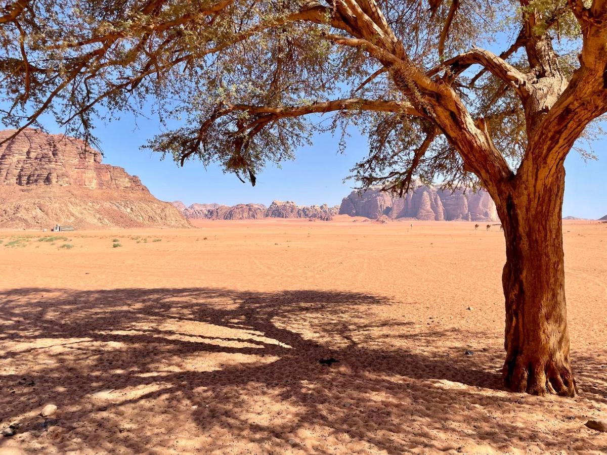 Wadi Rum Bedouin Tour With A Camp Exterior foto